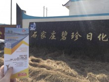 遛紙小分隊在石家莊宣傳沈陽展會 (33)