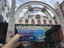 遛紙小分隊在沈陽宣傳沈陽展會 (60)