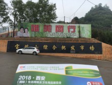 遛紙小分隊在陜西延安宣傳18年西安紙展會 (5)